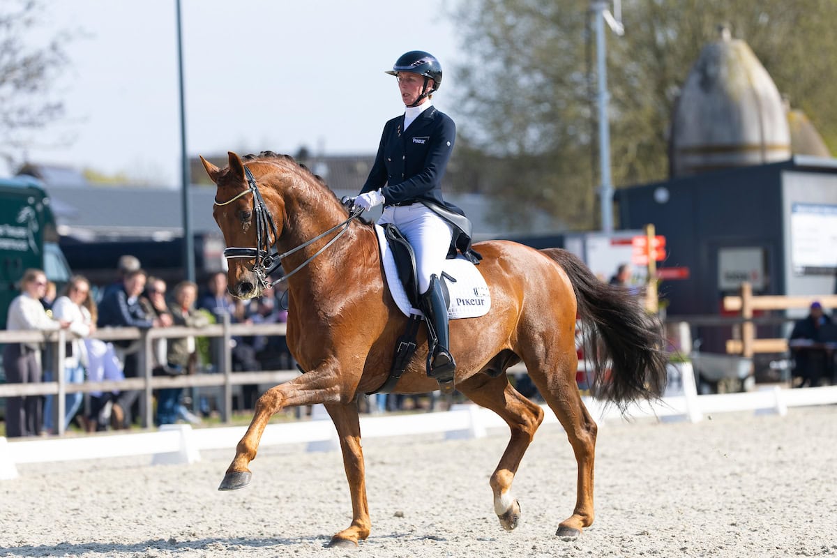 Imke Schellekens Top Dressage Tolbert