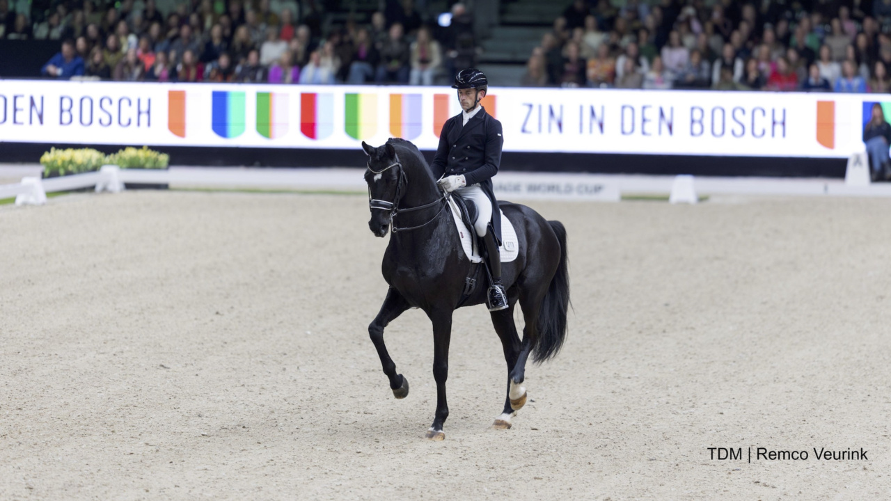 Justin Verboomen The Dutch Masters