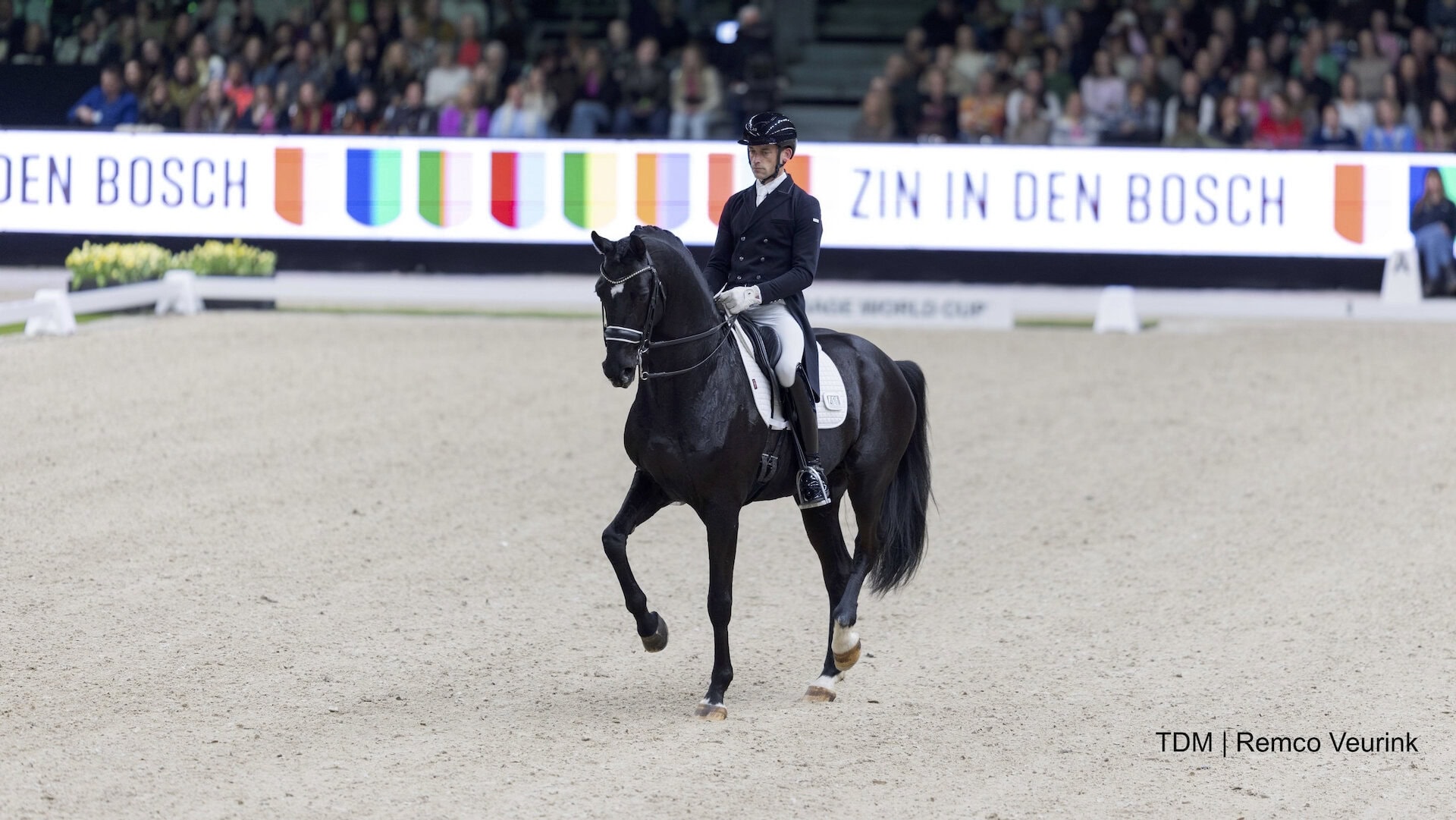 Justin Verboomen The Dutch Masters