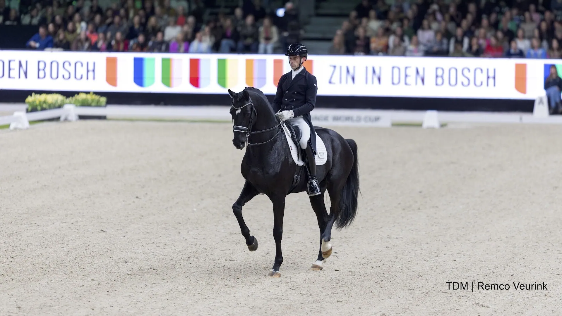 Justin Verboomen The Dutch Masters