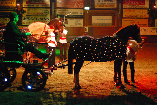 De menners hadden hun paarden sfeervol met lampjes behangen.