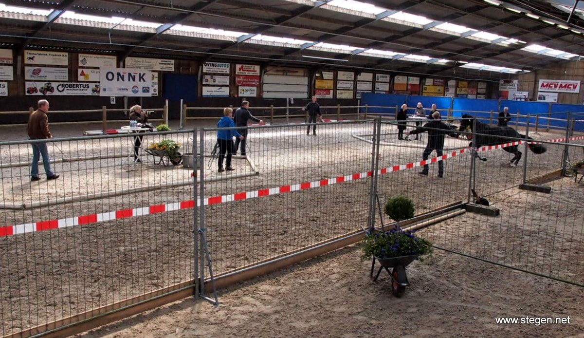 ONNK 2017. Sfeerbeeld van de kooi in Bronneger, waar de eerste selectie was van het ONNK 2016.