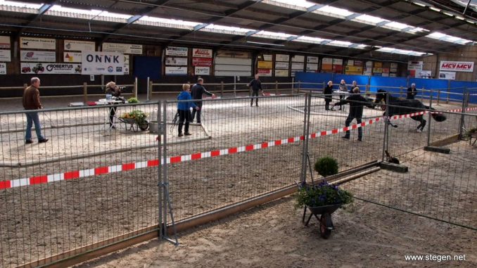 ONNK 2017. Sfeerbeeld van de kooi in Bronneger, waar de eerste selectie was van het ONNK 2016.