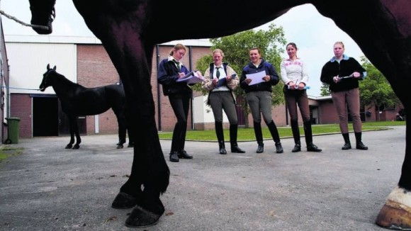 De huidige leerlingen van 'Deurne' kunnen hun opleiding nog afmaken.