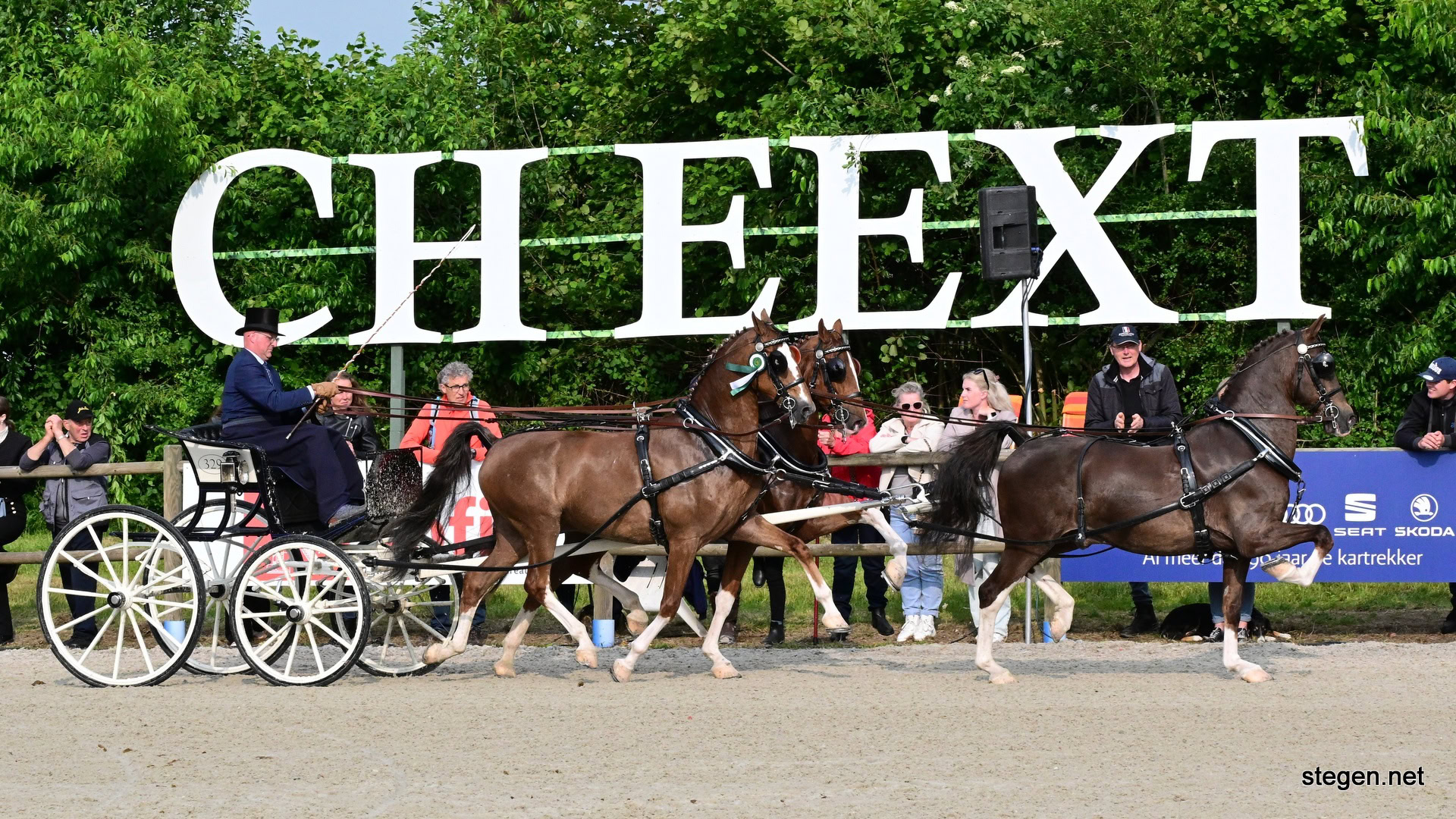 Topdag voor tuig­paard­rijder Marcel Ritsma op CH Eext