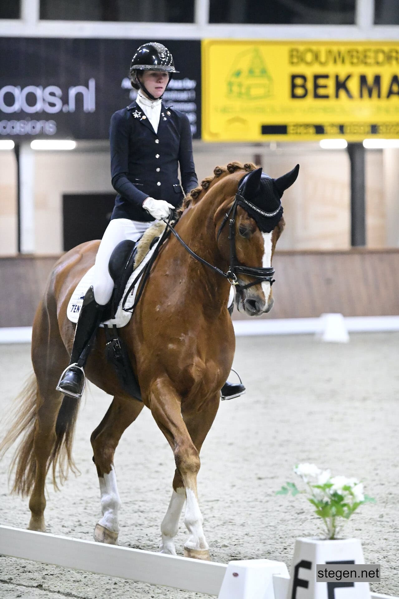 Marcella Berends Mc Gregor Drents kampioen