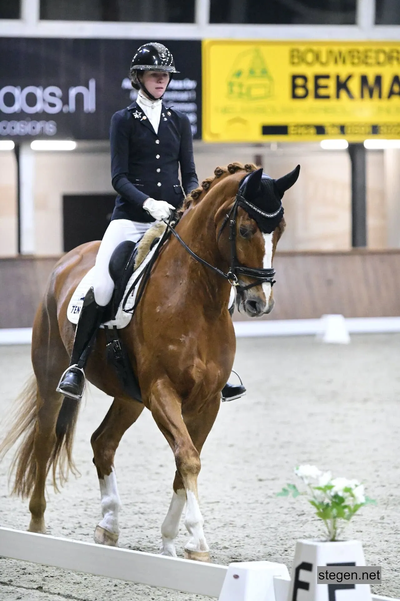 Marcella Berends Mc Gregor Drents kampioen