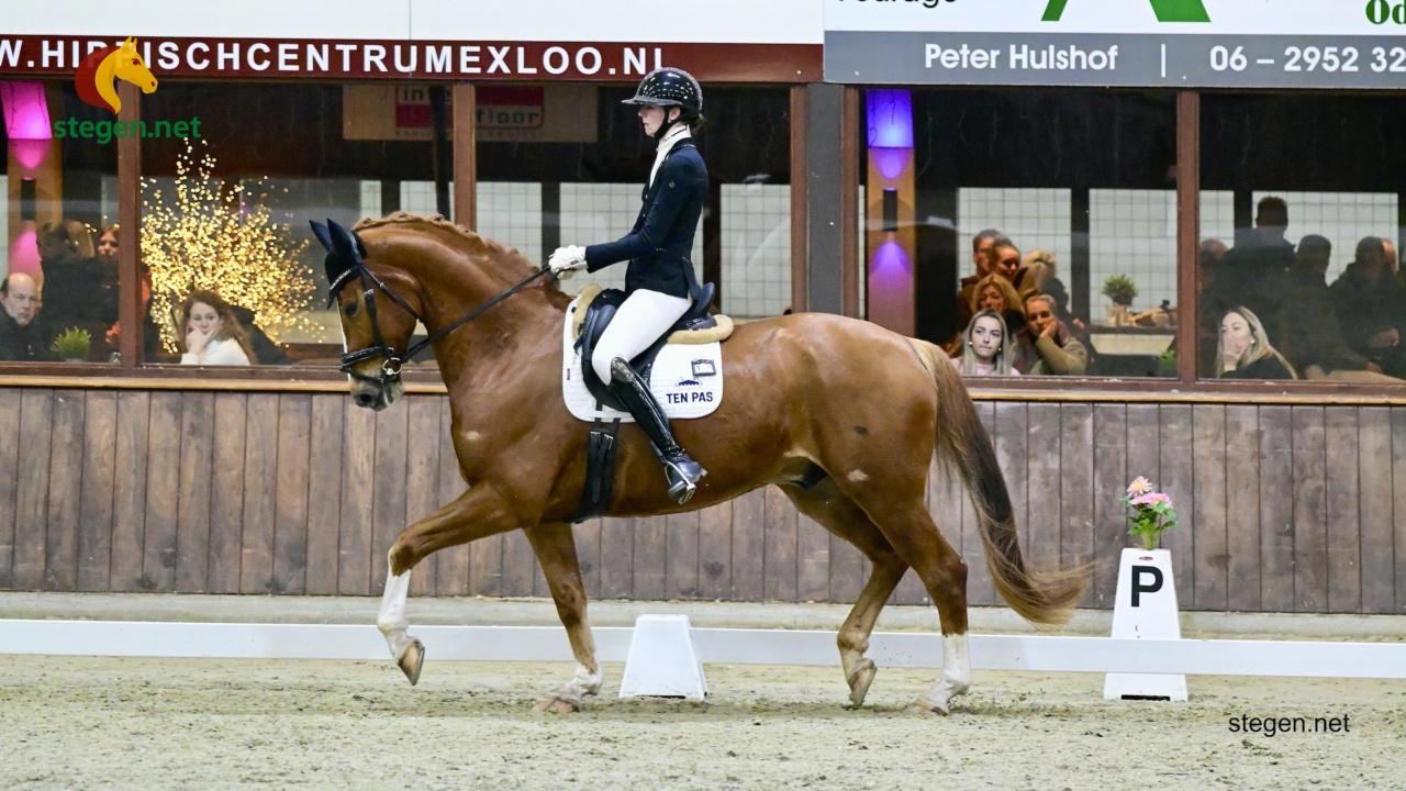 Marcella Berends Drents kampioen dressuur