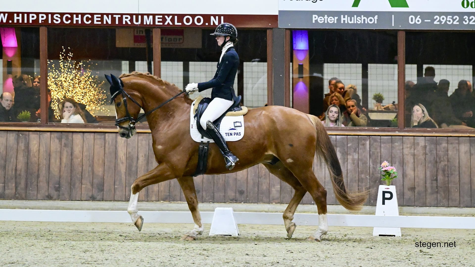 Marcella Berends Drents kampioen dressuur