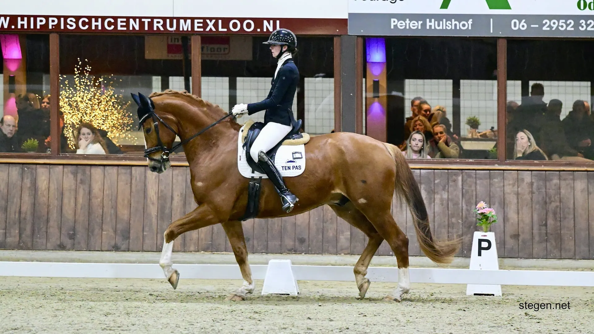 Marcella Berends Drents kampioen dressuur