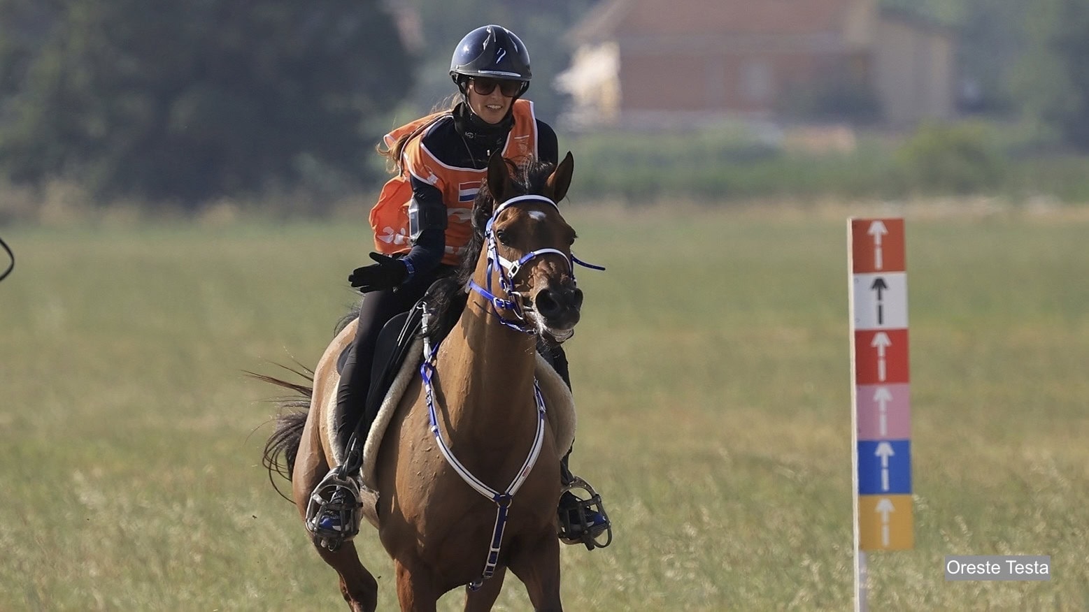 Marijke Visser Ruiter van het Jaar 2025