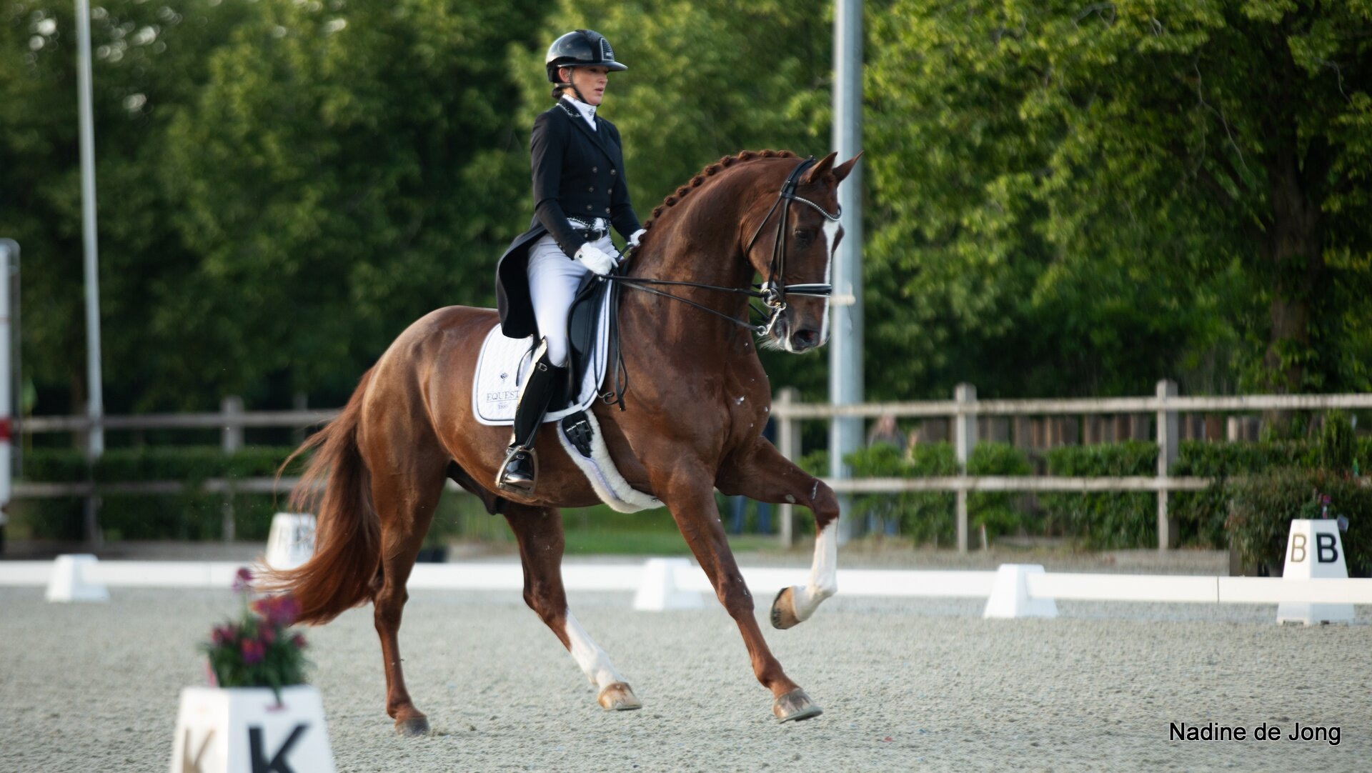 Marlies van Baalen swingt met Habibi DVB naar over­winning in kür CDI Exloo