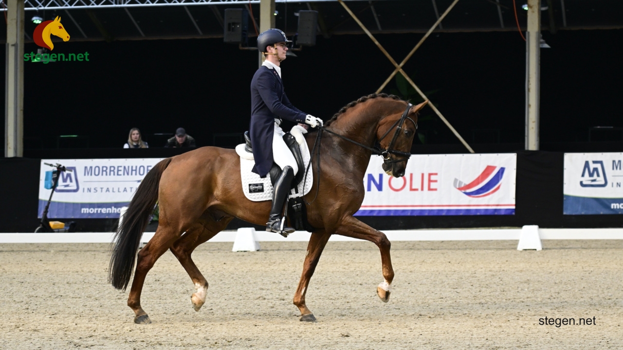 Marten Luiten Johnny Paard Balkbrug