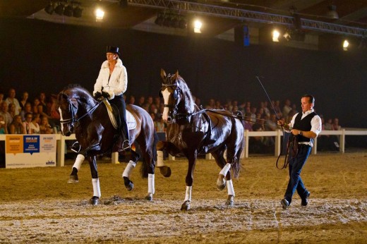 mischakoot-derkmekkes-horseevent