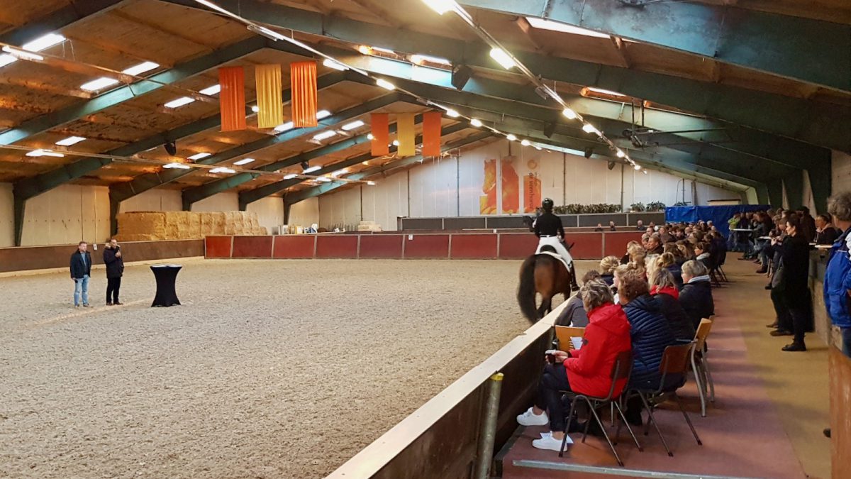 Cursisten luisteren naar de aanwijzingen bij het beoordelen van jonge paarden onder het zadel.