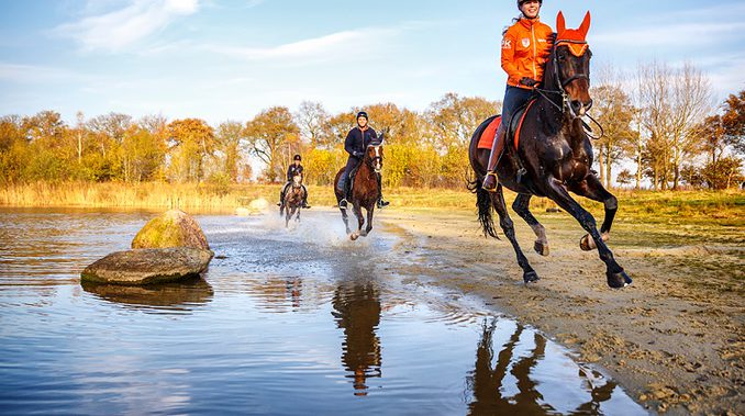 Drenthe als paardenprovincie. Paardentoerisme in Drenthe. foto: VPD