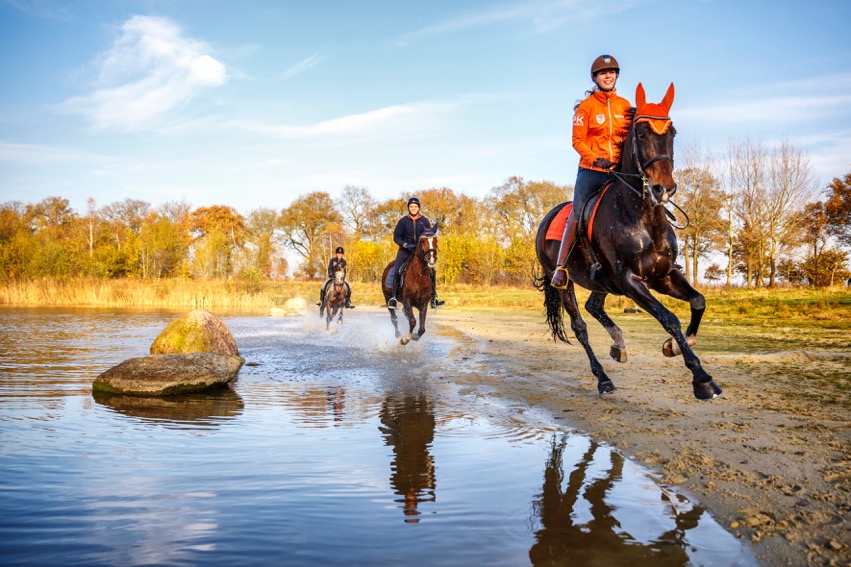 Drenthe als paardenprovincie. Paardentoerisme in Drenthe. foto: VPD