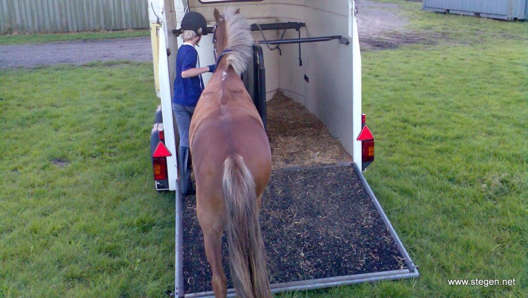 vervoer paard