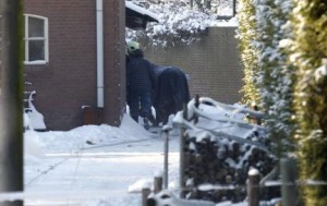 pony-veldhoven