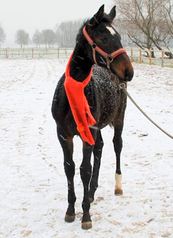 sneeuw-B Lekker, zo'n warme shawl.