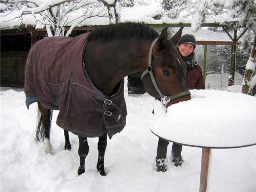 sneeuw-megin Spannend hè, zo'n pak sneeuw!