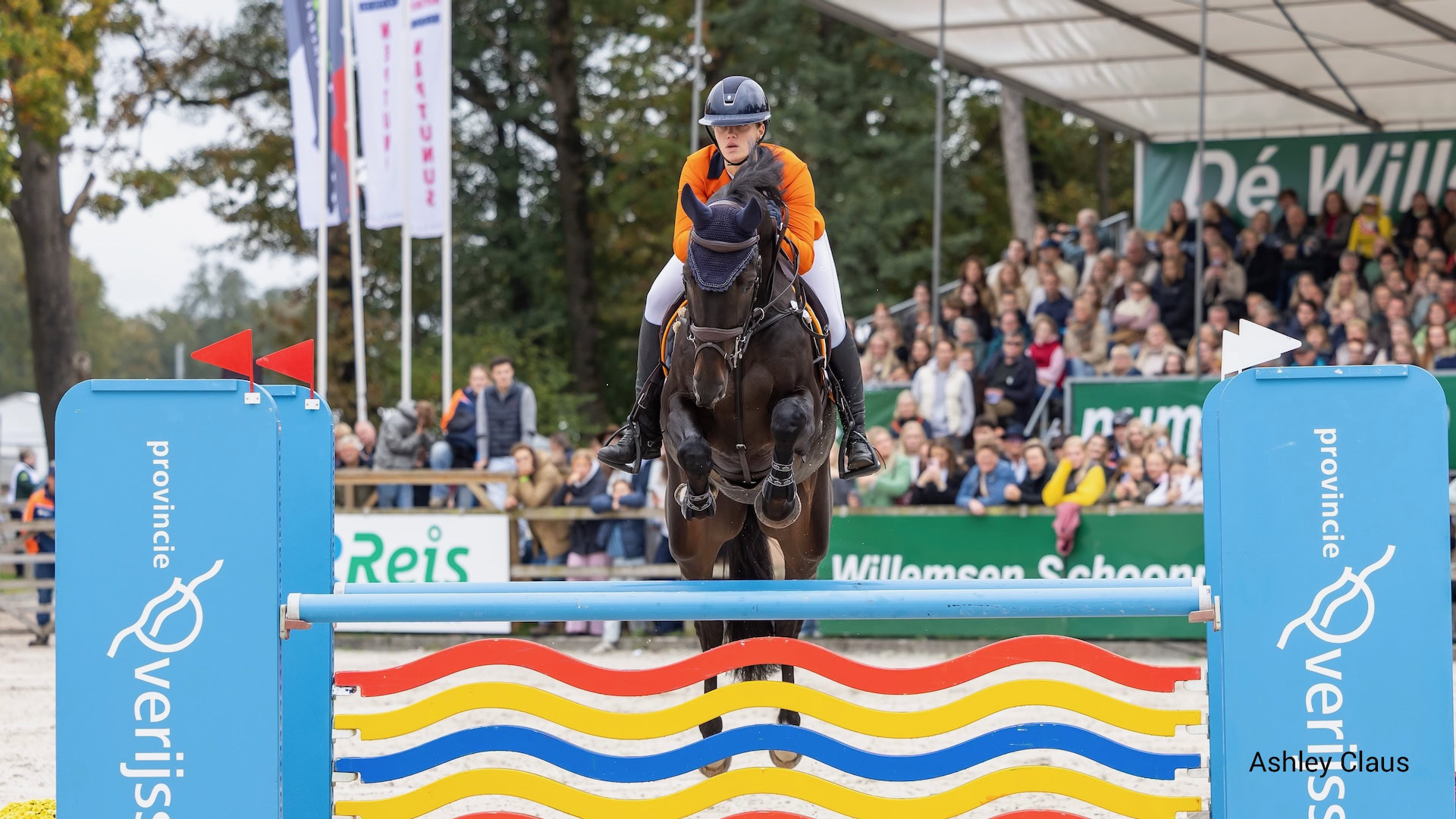 Sterre van Houte