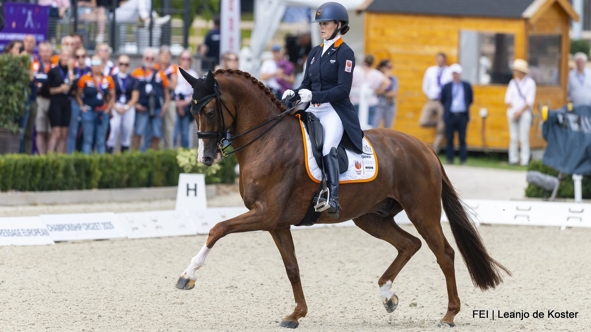 EK dressuur 2025 Crozet