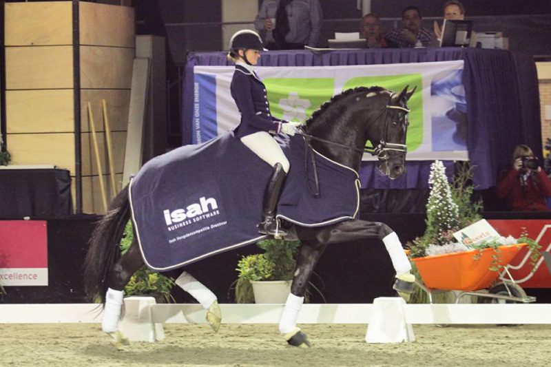 Glock's Toto jr imponeerde in Zuidbroek onder Marieke van der Putten. foto: Roland Hitze
