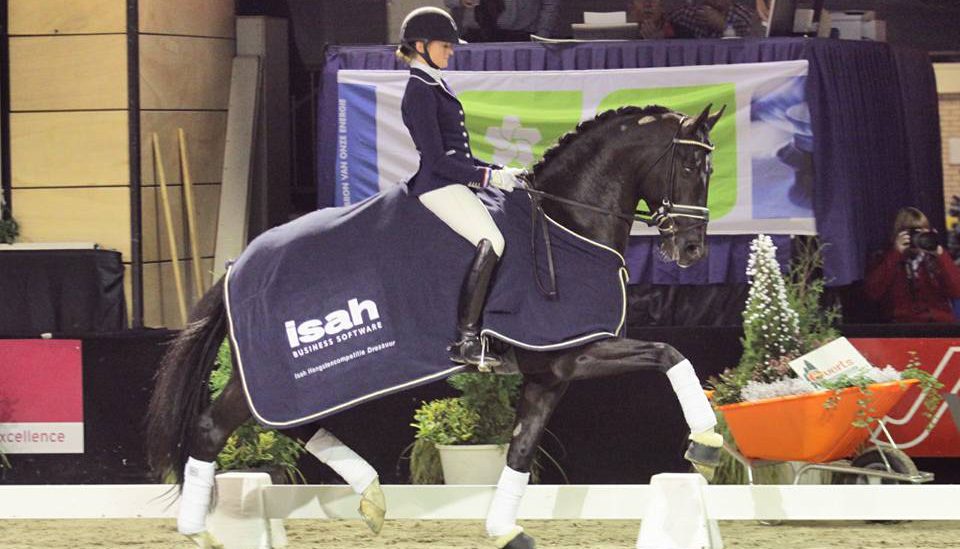 Glock's Toto jr imponeerde in Zuidbroek onder Marieke van der Putten. foto: Roland Hitze