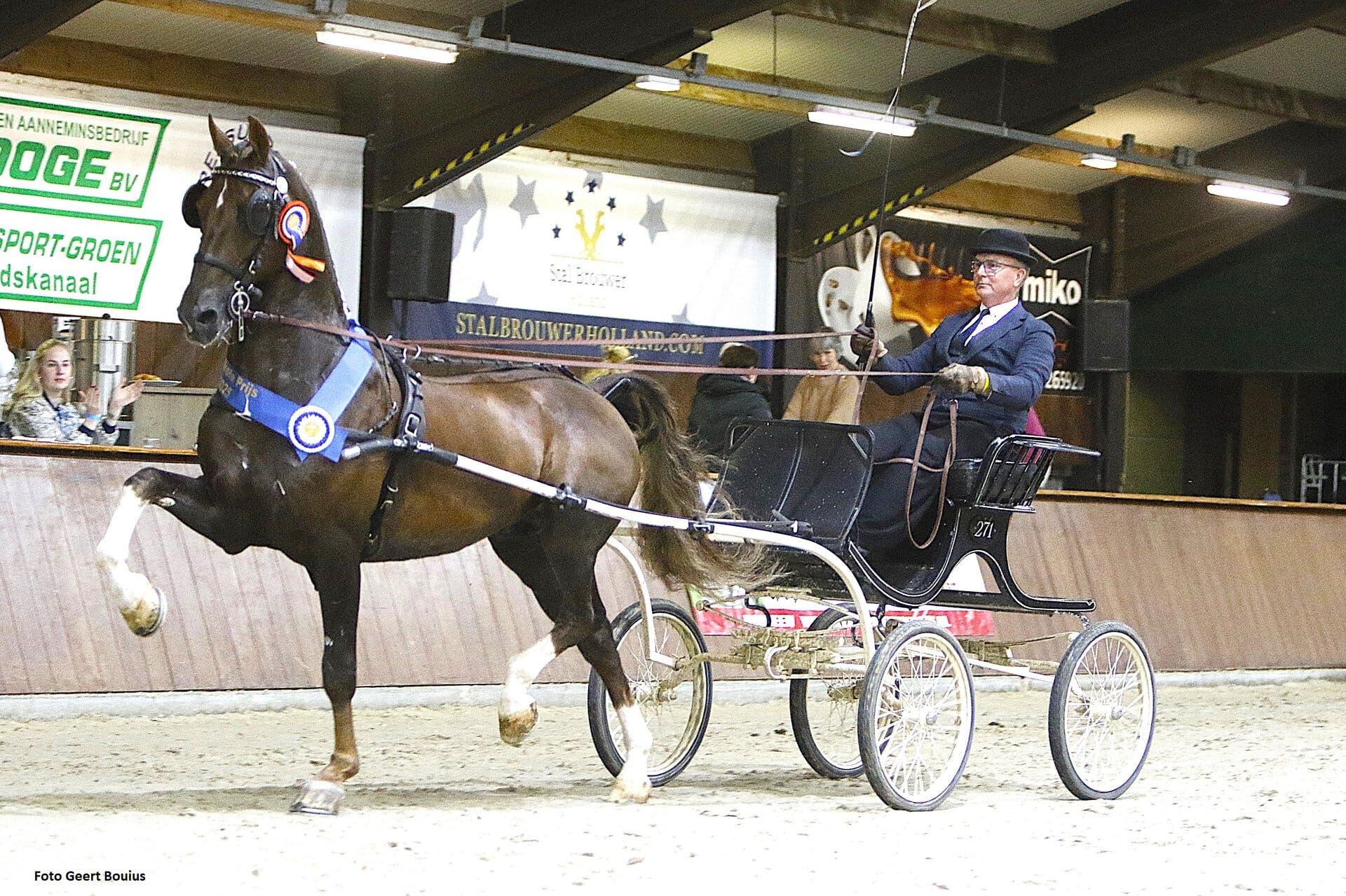 Noordelijke tuigpaardendag Exloo