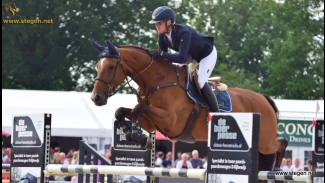 Mareille van Geel - Flying Echo