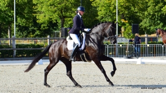Julia van Schaik - Nova